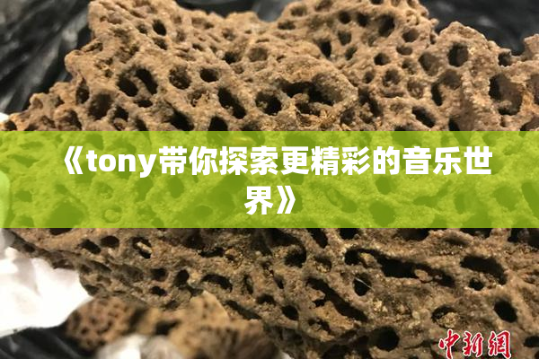 《tony带你探索更精彩的音乐世界》