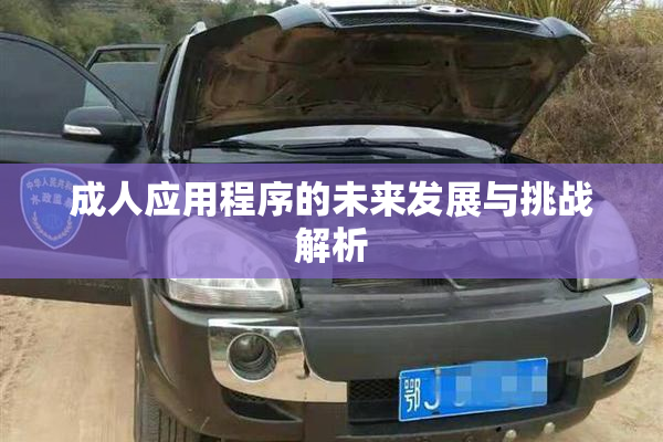 成人应用程序的未来发展与挑战解析