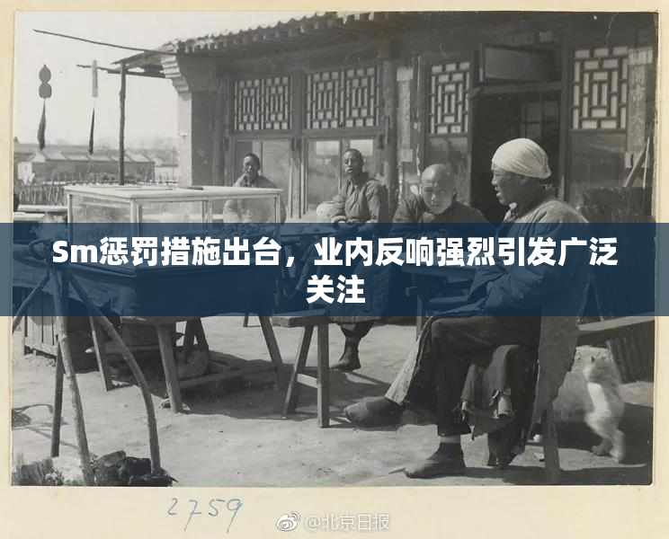 Sm惩罚措施出台，业内反响强烈引发广泛关注