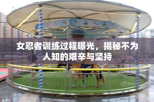 女忍者训练过程曝光，揭秘不为人知的艰辛与坚持