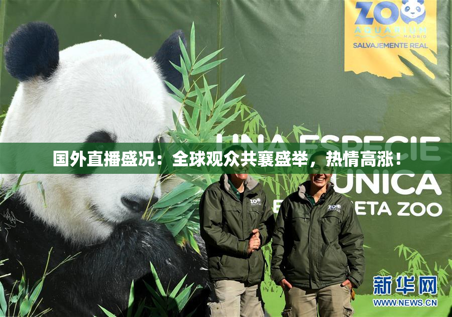 国外直播盛况：全球观众共襄盛举，热情高涨！