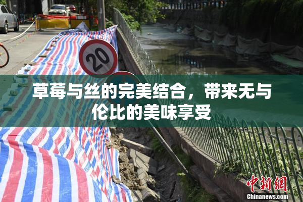 草莓与丝的完美结合，带来无与伦比的美味享受