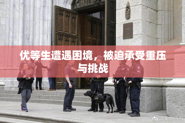优等生遭遇困境，被迫承受重压与挑战