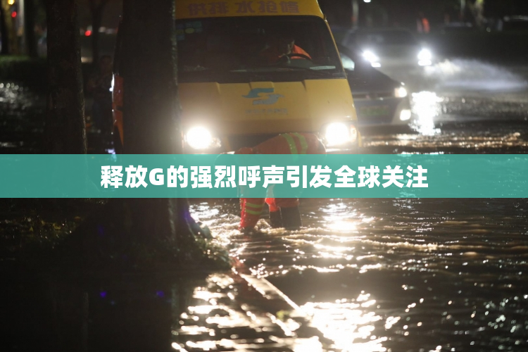 释放G的强烈呼声引发全球关注