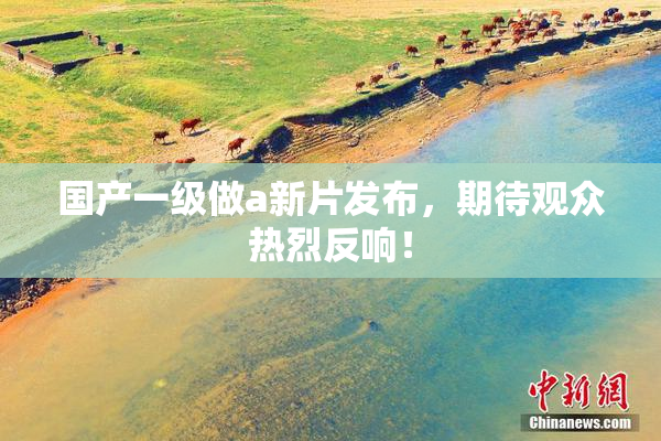 国产一级做a新片发布，期待观众热烈反响！