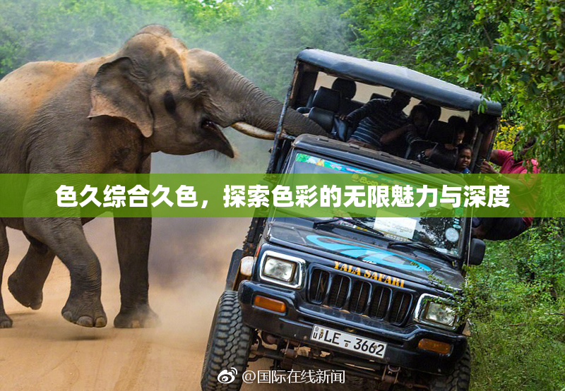 色久综合久色，探索色彩的无限魅力与深度