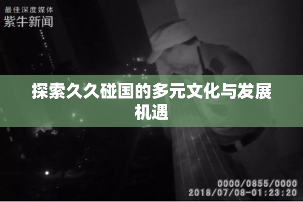 探索久久碰国的多元文化与发展机遇