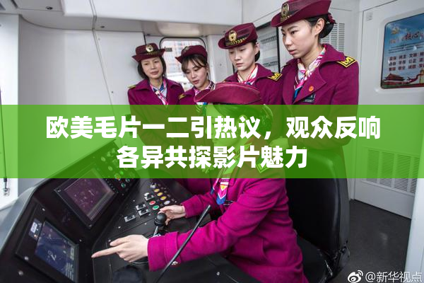 欧美毛片一二引热议，观众反响各异共探影片魅力