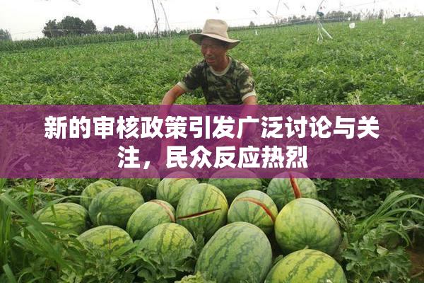新的审核政策引发广泛讨论与关注，民众反应热烈