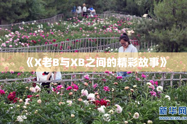 《X老B与XB之间的精彩故事》