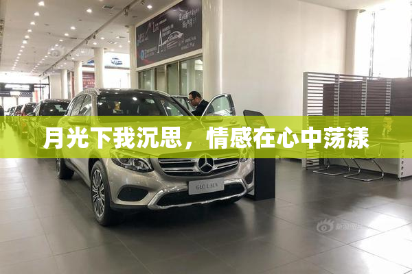 月光下我沉思，情感在心中荡漾