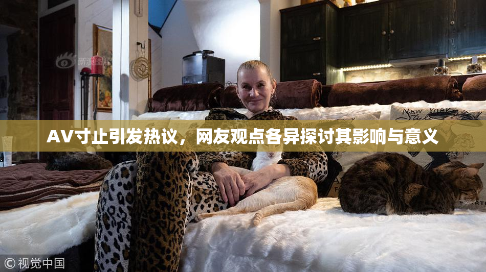 AV寸止引发热议，网友观点各异探讨其影响与意义