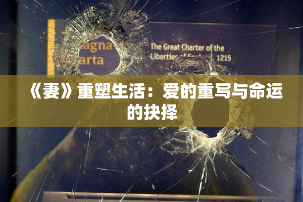 《妻》重塑生活：爱的重写与命运的抉择