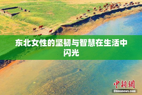 东北女性的坚韧与智慧在生活中闪光