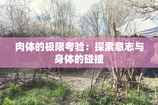 肉体的极限考验：探索意志与身体的碰撞