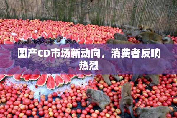 国产CD市场新动向，消费者反响热烈