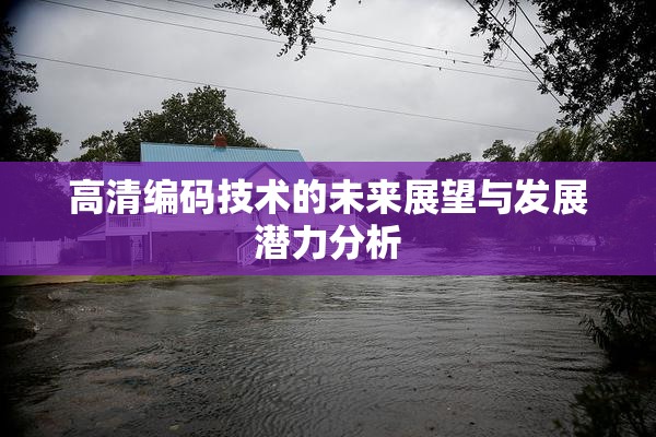 高清编码技术的未来展望与发展潜力分析