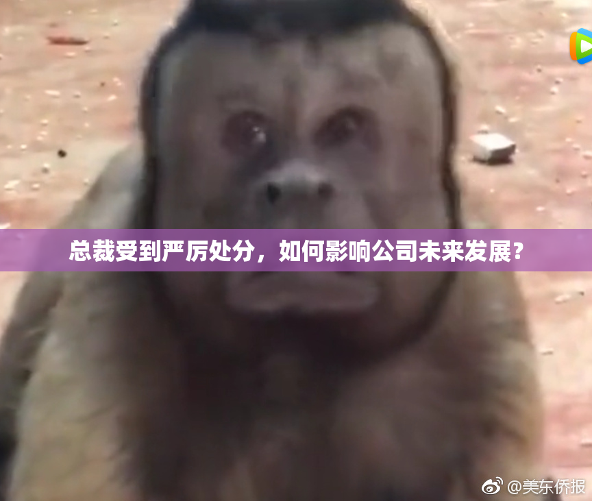总裁受到严厉处分，如何影响公司未来发展？