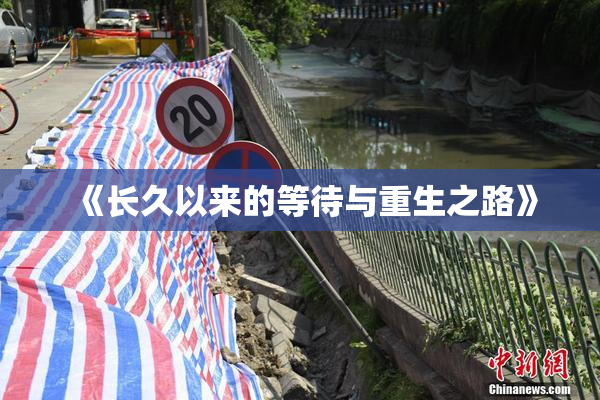 《长久以来的等待与重生之路》