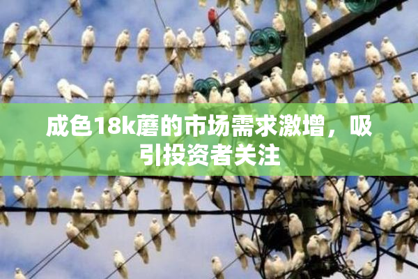 成色18k蘑的市场需求激增，吸引投资者关注