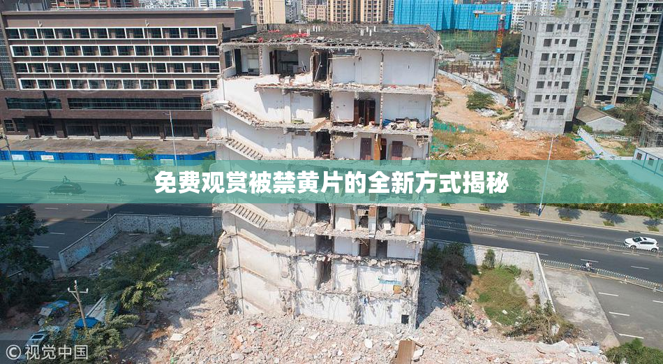 免费观赏被禁黄片的全新方式揭秘