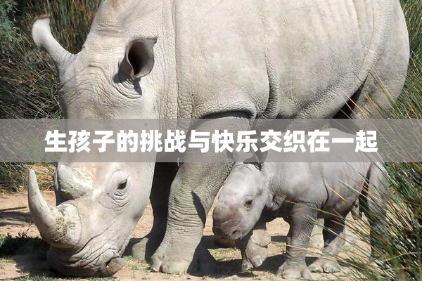 生孩子的挑战与快乐交织在一起