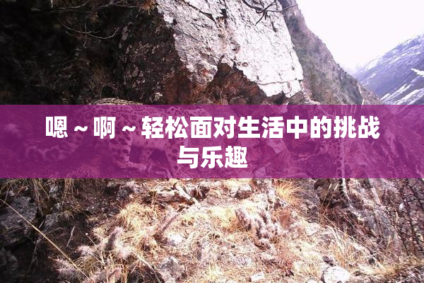 嗯～啊～轻松面对生活中的挑战与乐趣