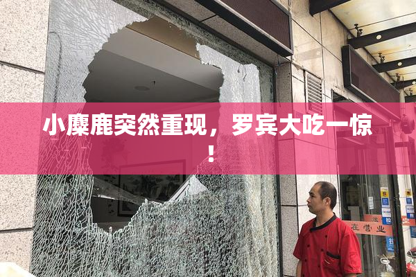小麋鹿突然重现，罗宾大吃一惊！