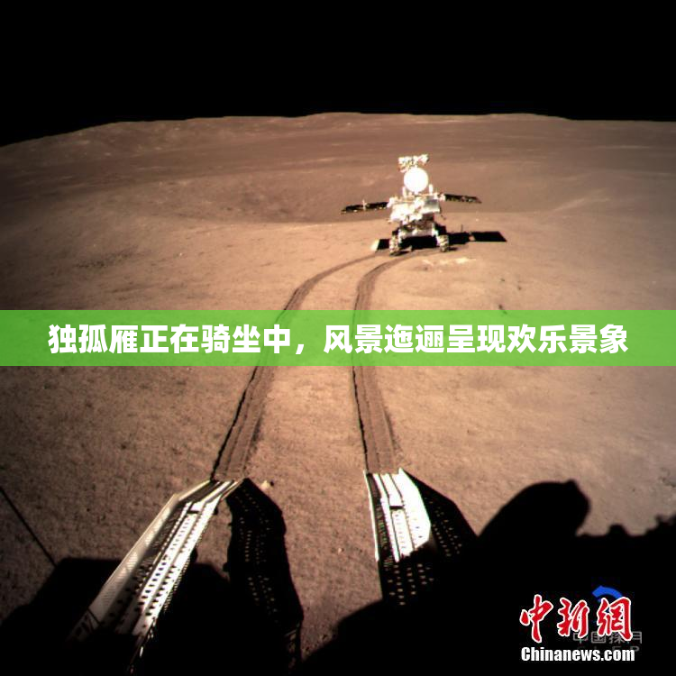 独孤雁正在骑坐中，风景迤逦呈现欢乐景象