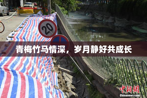 青梅竹马情深，岁月静好共成长