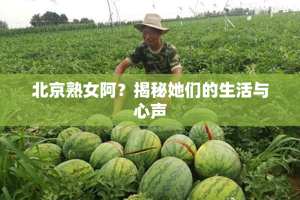 北京熟女阿？揭秘她们的生活与心声