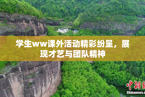 学生ww课外活动精彩纷呈，展现才艺与团队精神