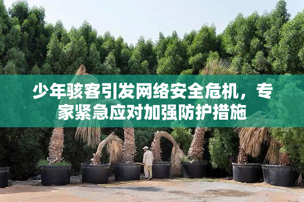少年骇客引发网络安全危机，专家紧急应对加强防护措施
