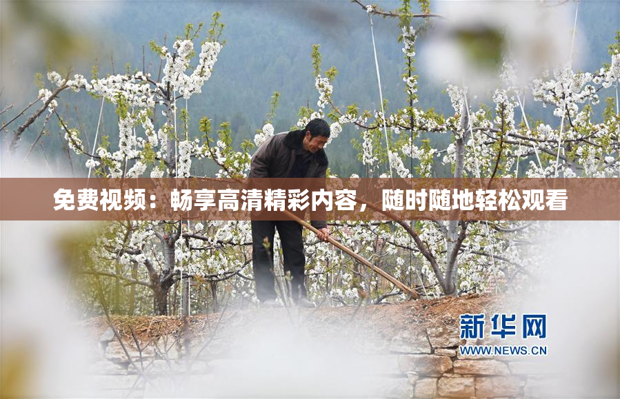 免费视频：畅享高清精彩内容，随时随地轻松观看