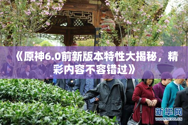 《原神6.0前新版本特性大揭秘，精彩内容不容错过》
