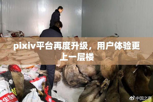 pixiv平台再度升级，用户体验更上一层楼