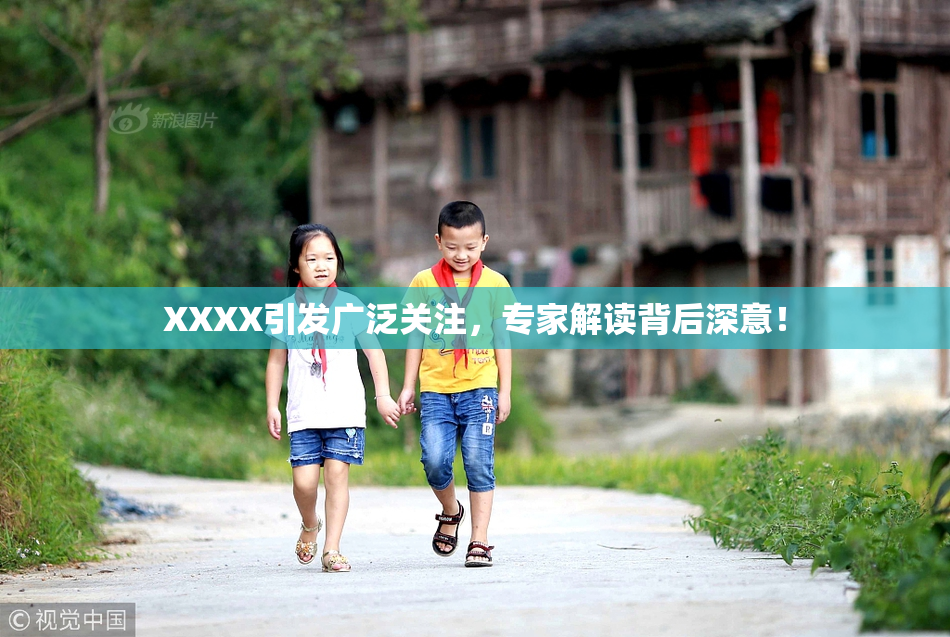 XXXX引发广泛关注，专家解读背后深意！