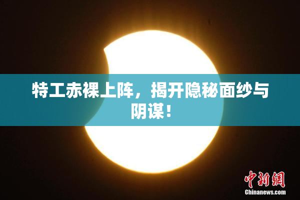 特工赤裸上阵，揭开隐秘面纱与阴谋！