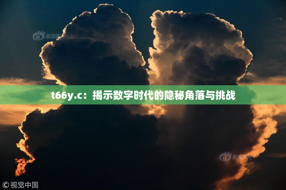 t66y.c：揭示数字时代的隐秘角落与挑战