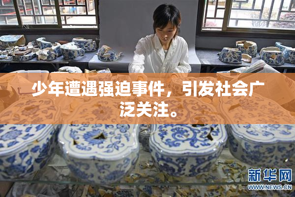 少年遭遇强迫事件，引发社会广泛关注。