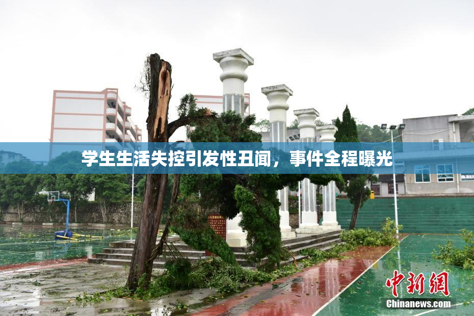 学生生活失控引发性丑闻，事件全程曝光