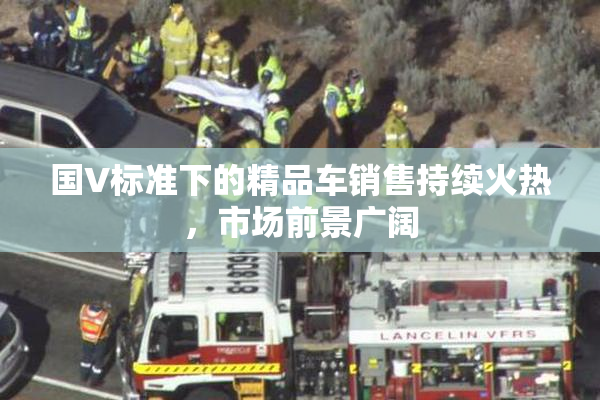 国V标准下的精品车销售持续火热，市场前景广阔