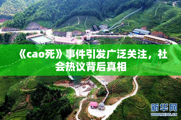 《cao死》事件引发广泛关注，社会热议背后真相