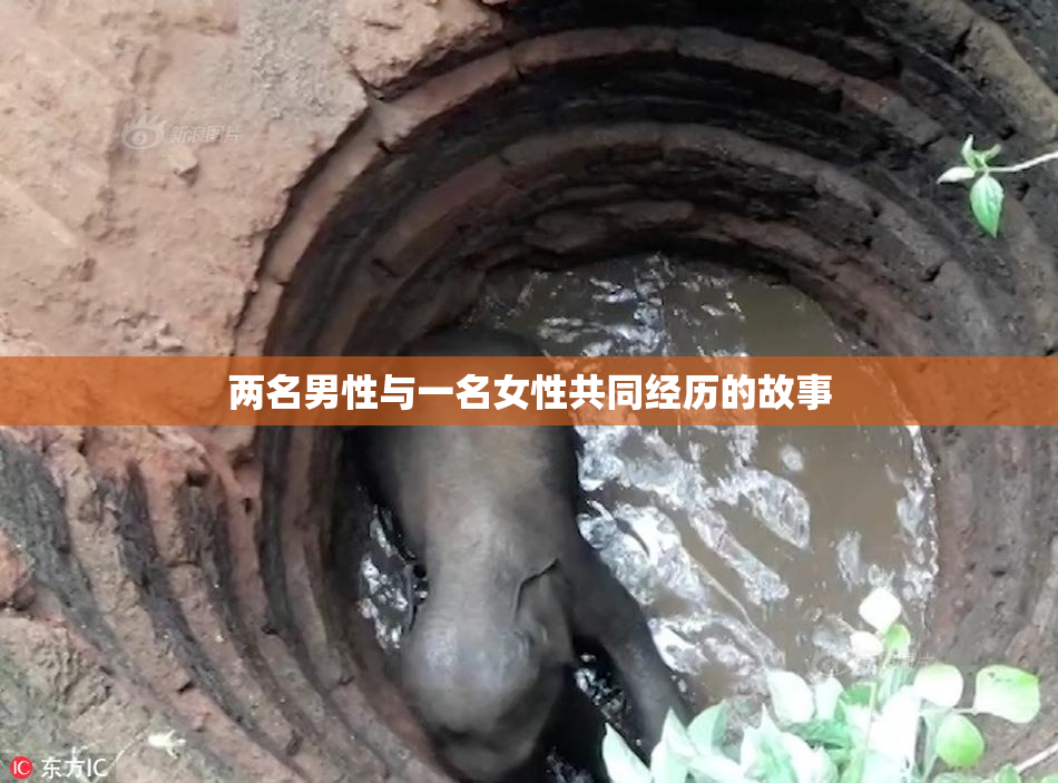 两名男性与一名女性共同经历的故事