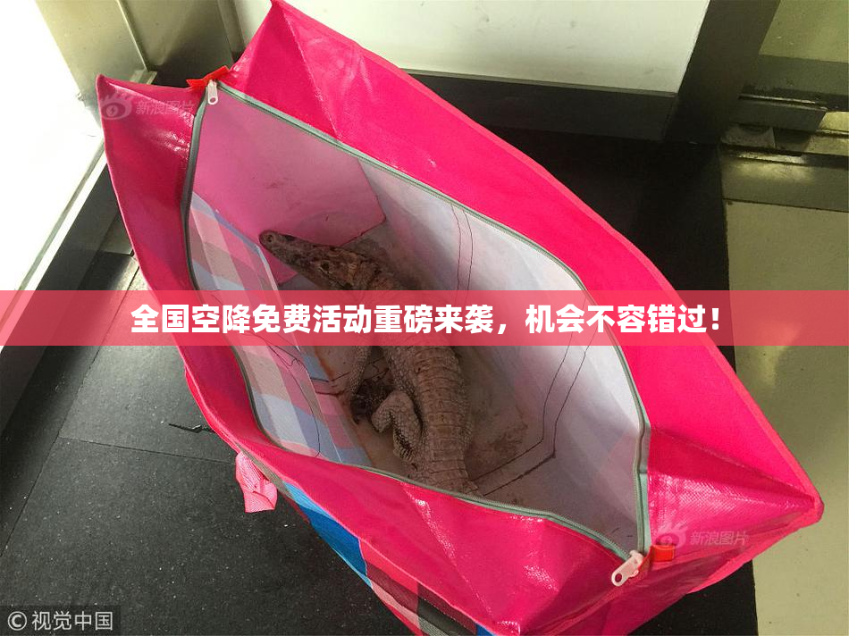 全国空降免费活动重磅来袭，机会不容错过！