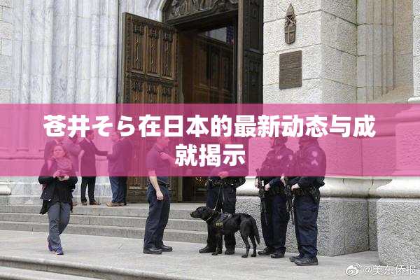 苍井そら在日本的最新动态与成就揭示