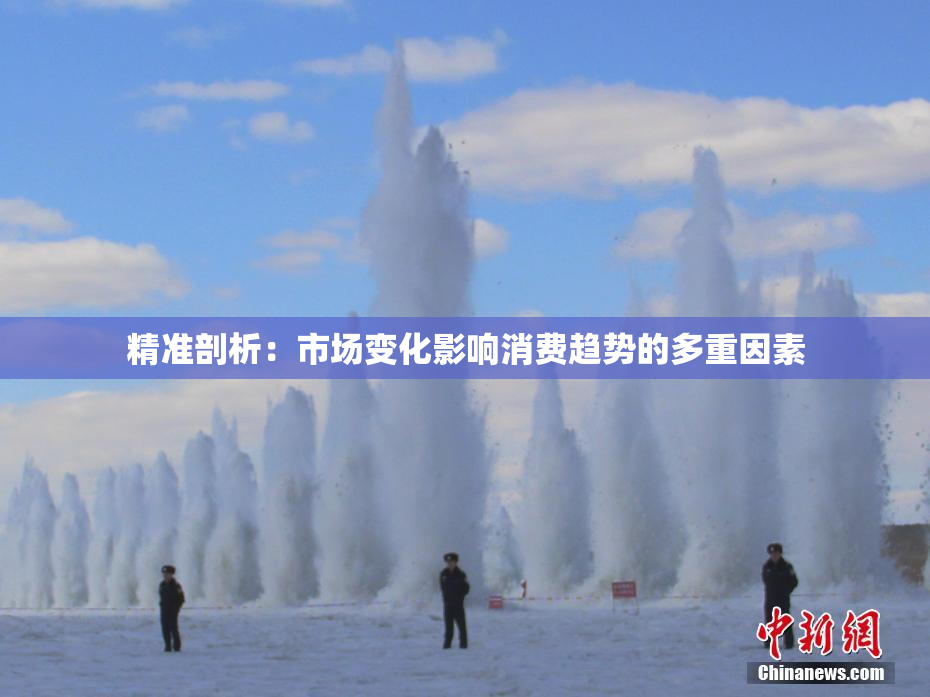 精准剖析：市场变化影响消费趋势的多重因素
