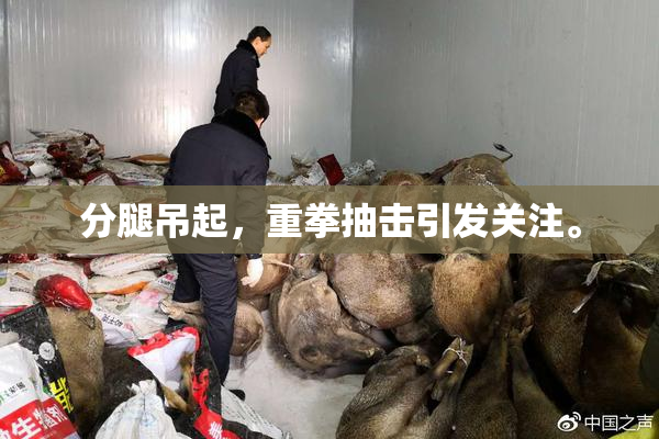 分腿吊起，重拳抽击引发关注。