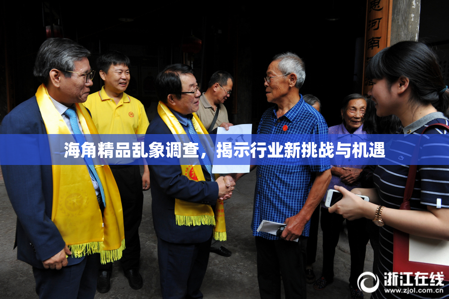 海角精品乱象调查，揭示行业新挑战与机遇