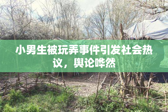 小男生被玩弄事件引发社会热议，舆论哗然